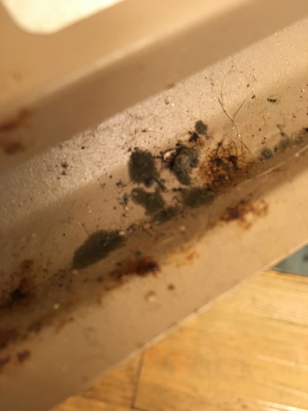 Shaw Air Force Base Housing woes